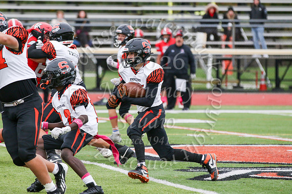 SVL_fb-f_08
