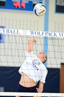 WMC_vb-g_18