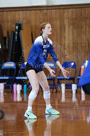 WHS_vb_g_-22