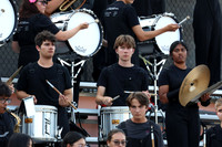 SVL_mb_in_stands_19