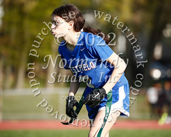 WHS_flag_fb_50