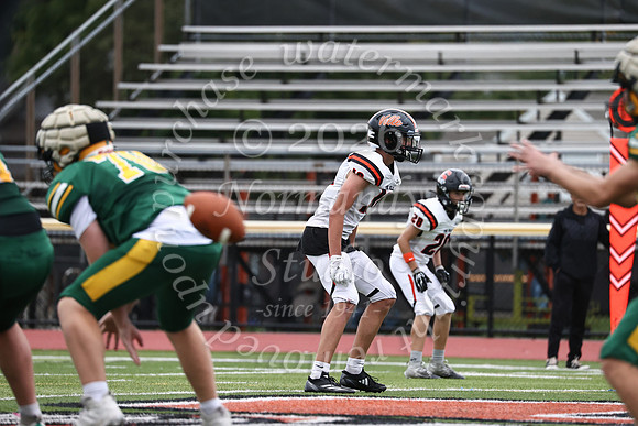 SVL_fb_jv-25