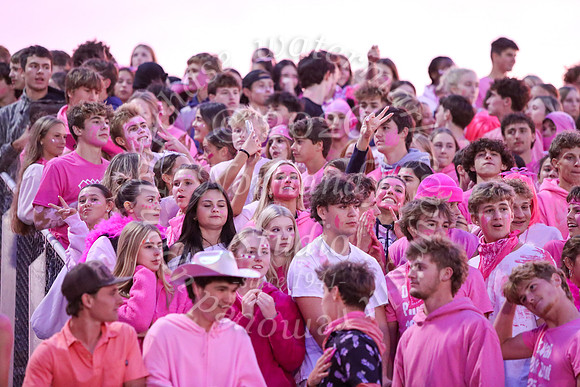DVH_fans_07