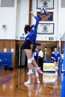 WHS_vb_g_-14