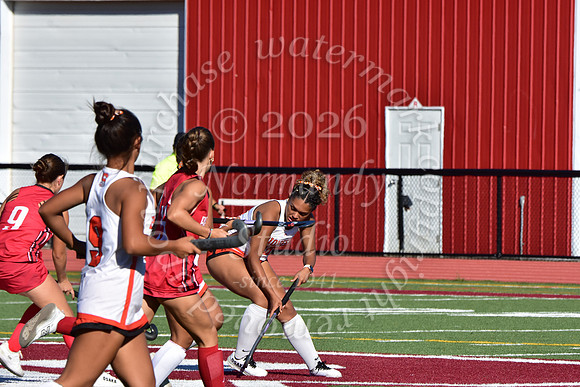SVL_fh_37
