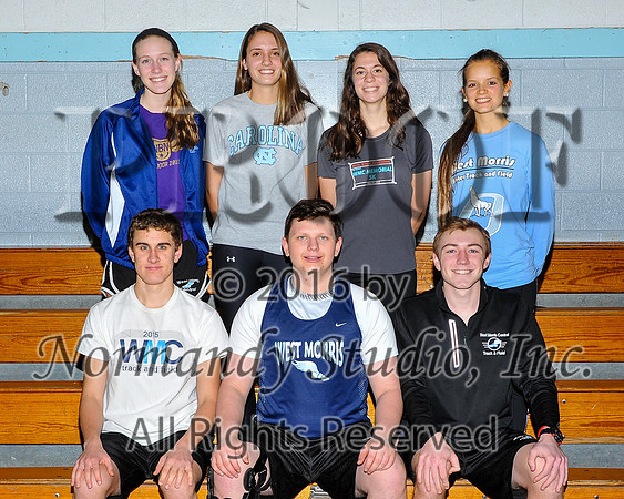 WMC_06_wt-t