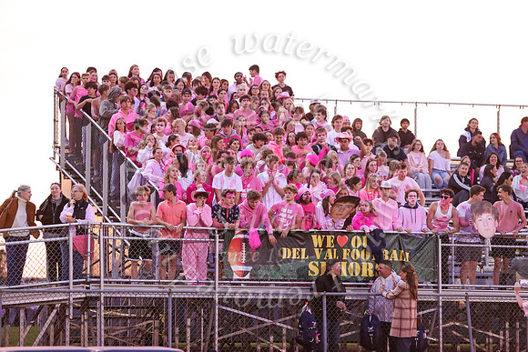 DVH_fans_28