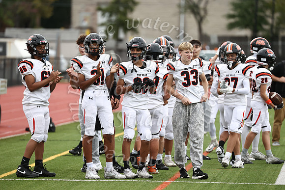 SVL_fb_jv-8