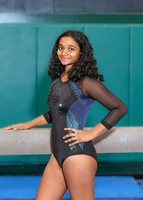 RDG_gy-ind_03