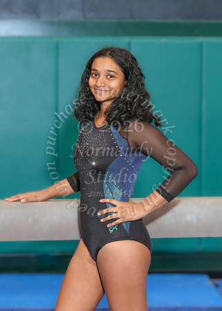 RDG_gy-ind_03