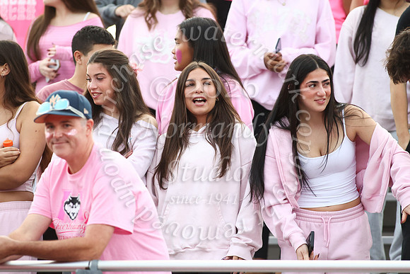 MAT_fb_fans_2_3