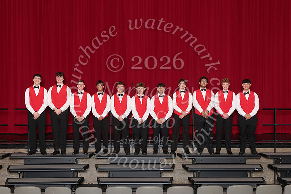 CHS_gala_groups_12