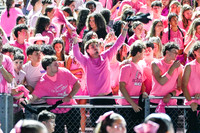 SPF_fans_20