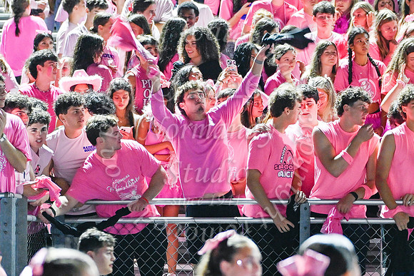 SPF_fans_20