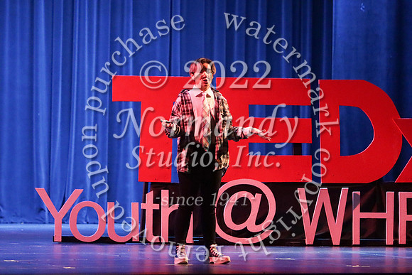 WTG_TEDx_33