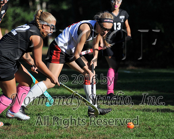 JAC_45_fhsd