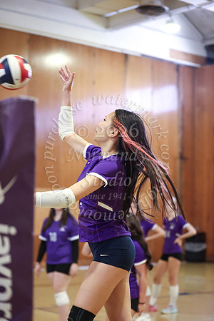 TOT_vb_g_-27