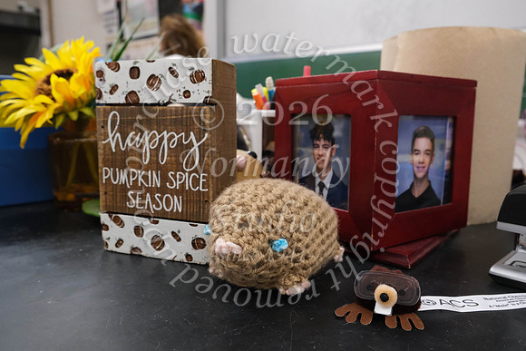 WHS_mole day_06