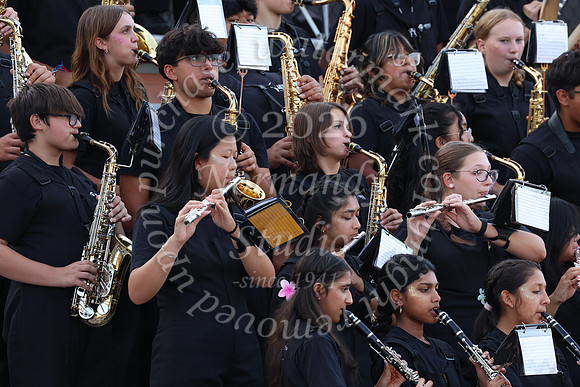SVL_mb_in_stands_29