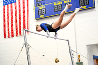 WHS_gy_15