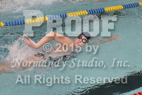 WMC_043_sw-g
