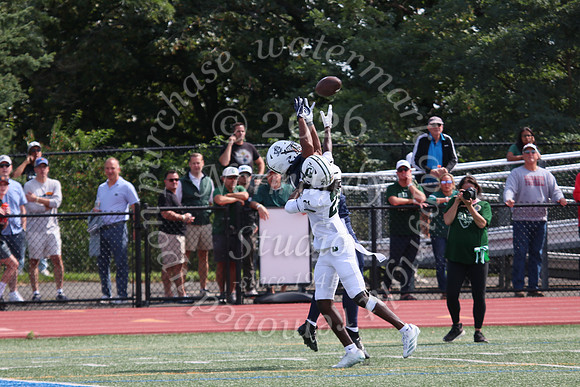 SHP_fb-v_31