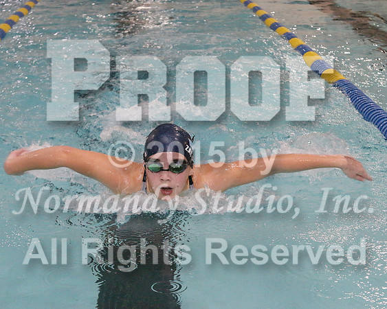 WMC_040_sw-g