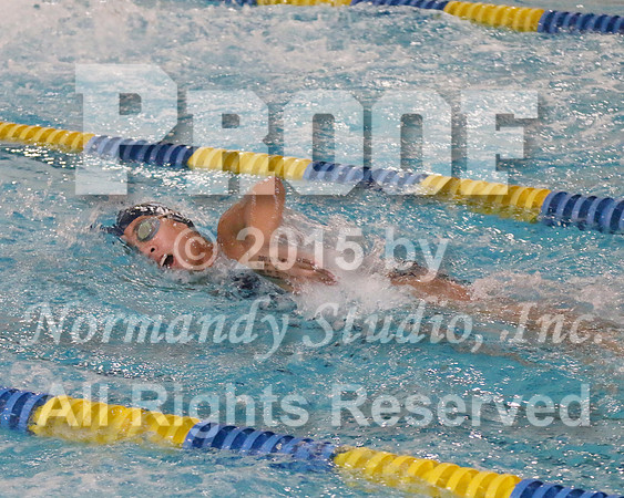 WMC_045_sw-g