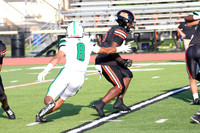 SVL_fb_015