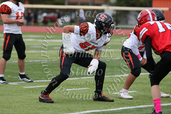 SVL_fb-f_30