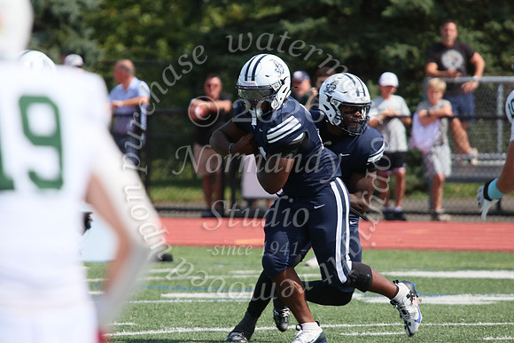 SHP_fb-v_21