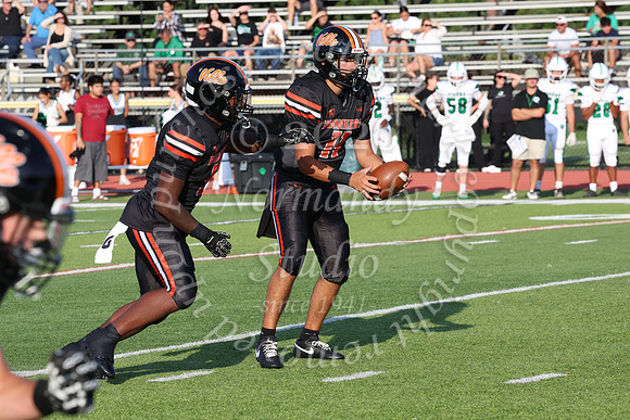 SVL_fb_024