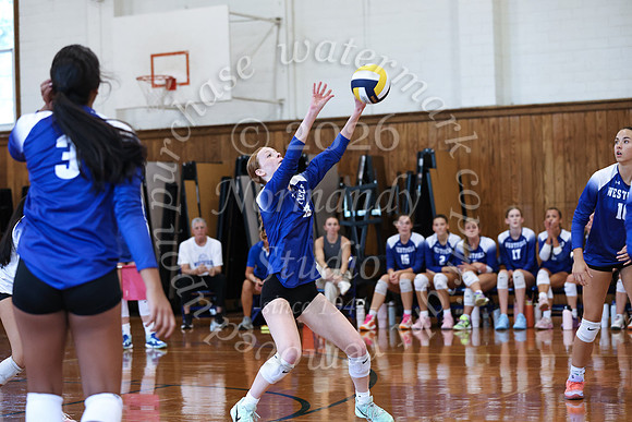 WHS_vb_g_-80