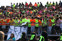 HCH_fans_13