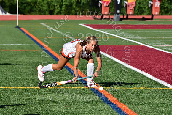 SVL_fh_36