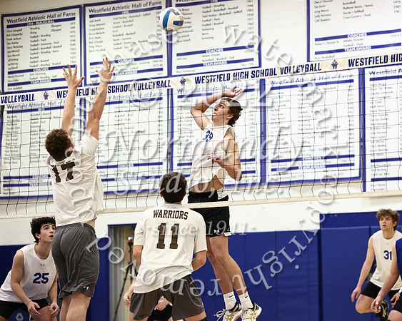 WHS_vb_b_v_59