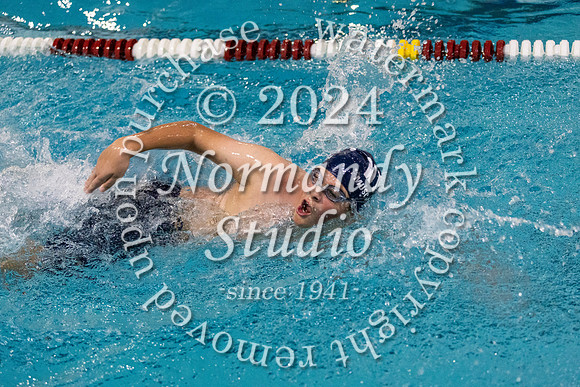 WMC_sw-b_21