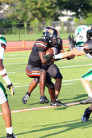 SVL_fb_010