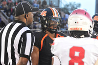 SVL_fb_16