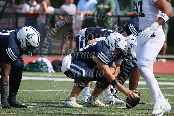SHP_fb-v_19