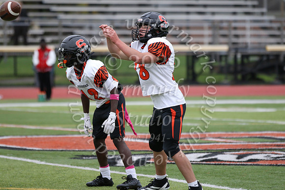 SVL_fb-f_14