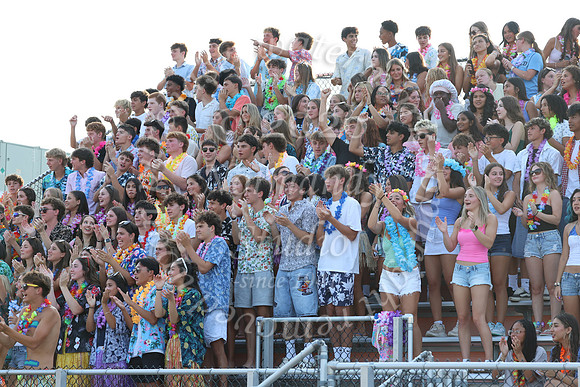 SVL_fb_fans_07
