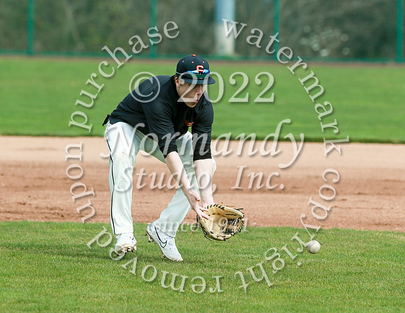 SVL_bb_31
