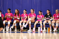 WHS_vb-pink out_01