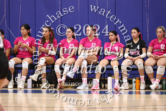WHS_vb-pink out_01