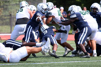 SHP_fb-v_10