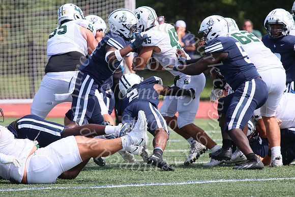 SHP_fb-v_10
