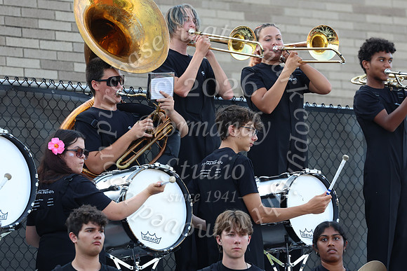 SVL_mb_in_stands_23