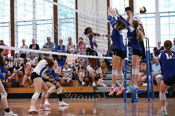 WHS_vbg_140