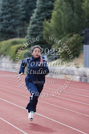 MSM_tr-g_07